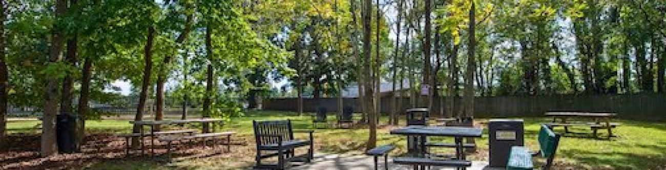 Outdoor seating area with picnic table, grill surrounded by trees